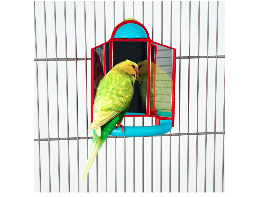 Wholesale prices with free shipping all over United States Featherland Paradise Triple Mirror Bird Toy With Perch - Steven Deals