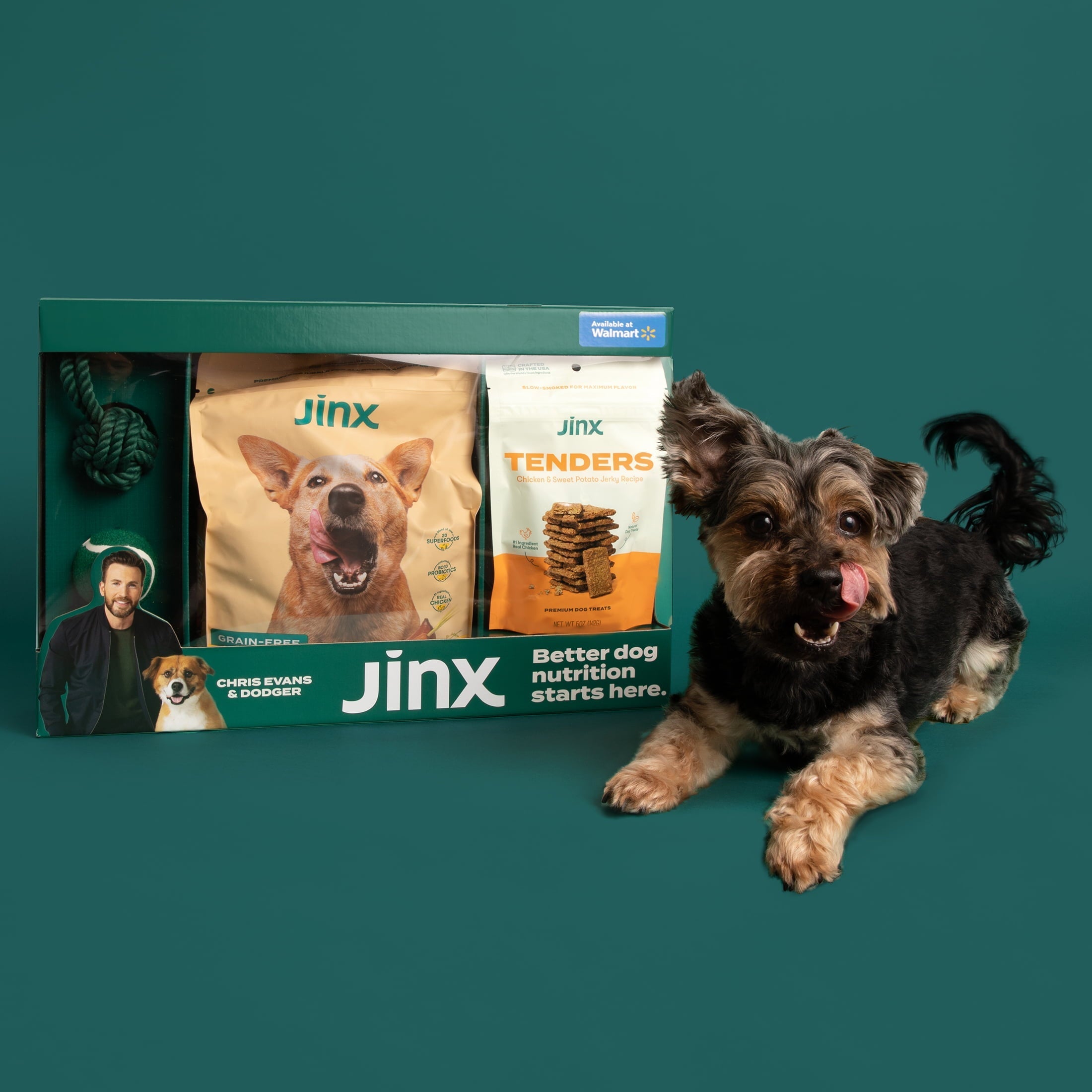 Wholesale prices with free shipping all over United States Jinx & Chris Evans Dog Dream Box - Steven Deals