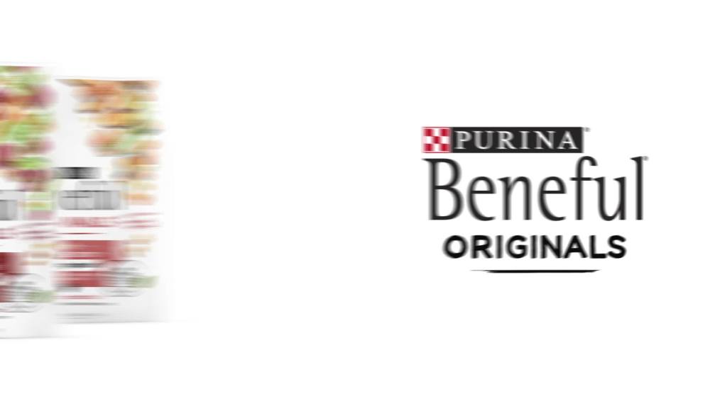 Wholesale prices with free shipping all over United States Purina Beneful Originals Natural Salmon Dry Dog Food, 28 lb Bag - Steven Deals