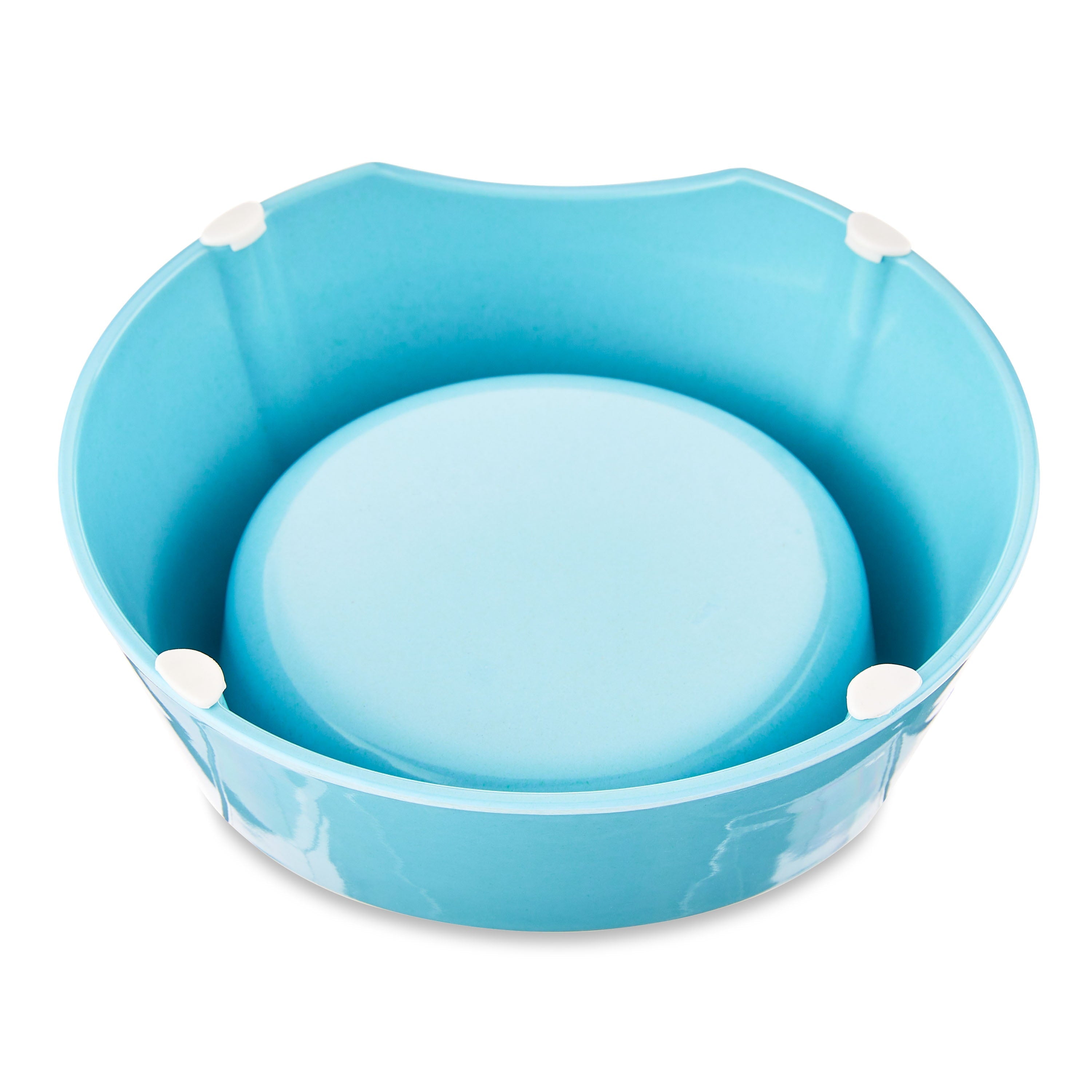 Wholesale prices with free shipping all over United States Vibrant Life Raised High Back Pet Bowl, Teal, Small, 8 oz - Steven Deals