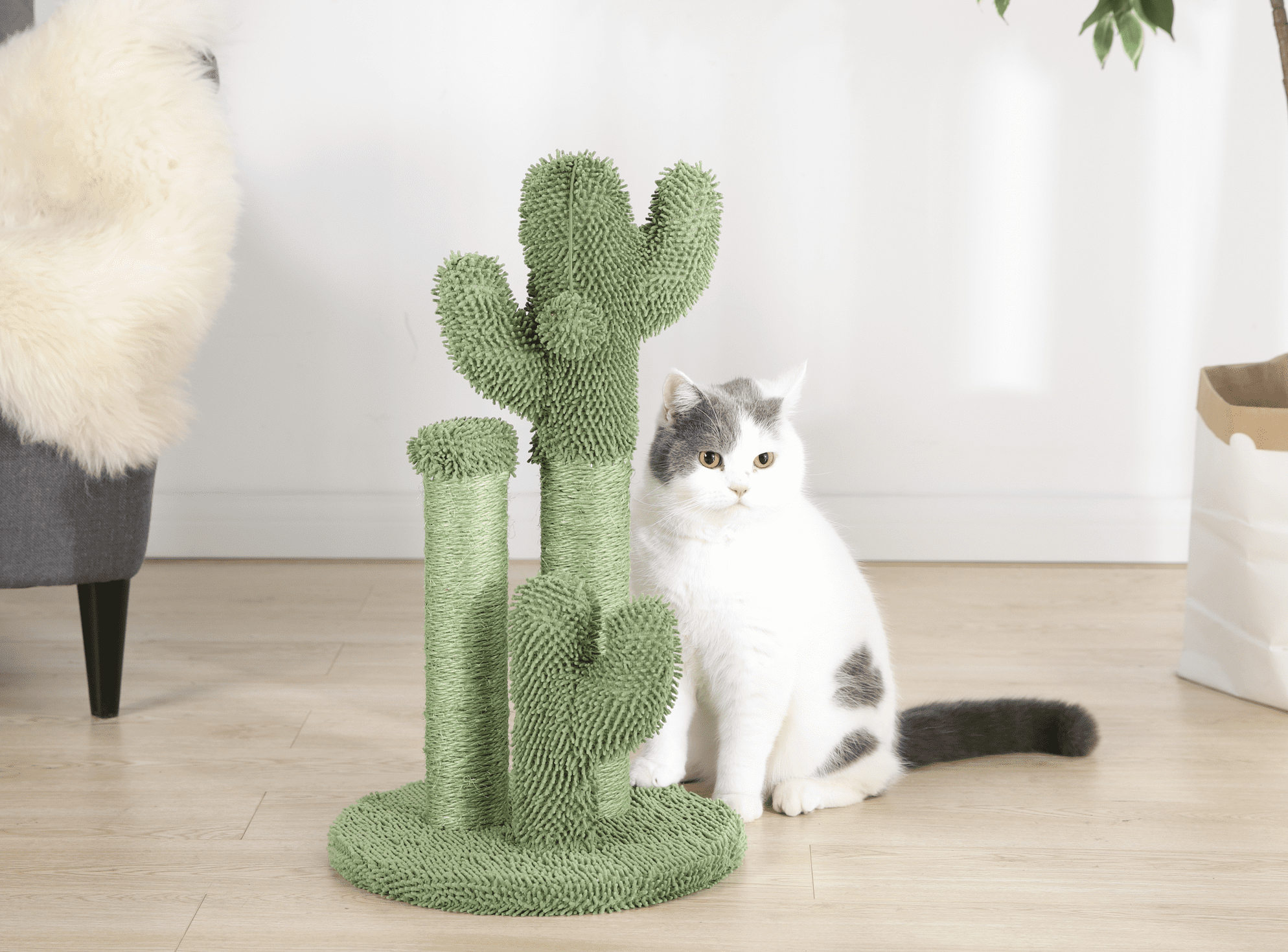 Wholesale prices with free shipping all over United States Vibrant Life Cactus Cat Scractching Post with Toy Ball,Green - Steven Deals