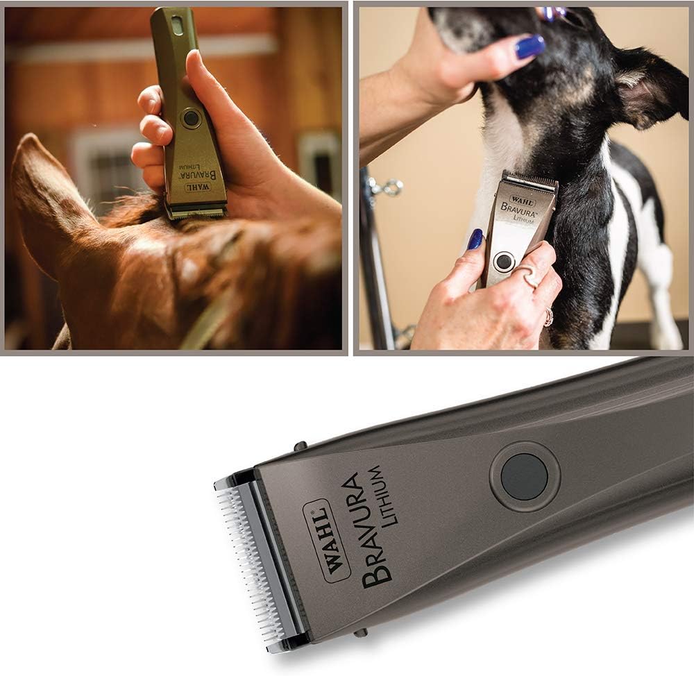 Wholesale prices with free shipping all over United States WAHL Professional Animal Bravura Pet, Dog, Cat & Horse Corded/Cordless Clipper Kit (#41870-0423) - Grooming Supplies for Pets - Pet Grooming Clippers - 90 Minute Run Time - Turquoise - Steven Deals