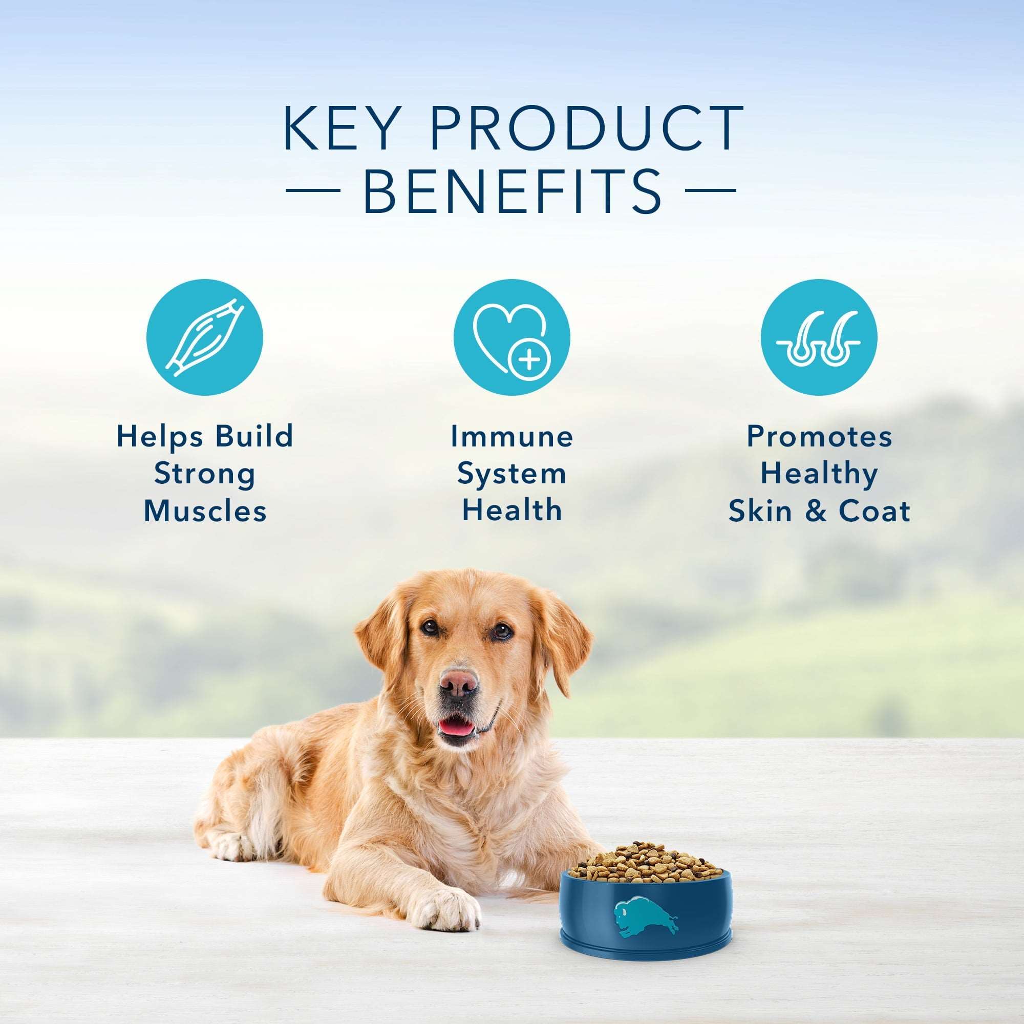 Wholesale prices with free shipping all over United States Blue Buffalo Life Protection Formula Chicken and Brown Rice Dry Dog Food for Adult Dogs, Whole Grain, 5 lb. Bag - Steven Deals