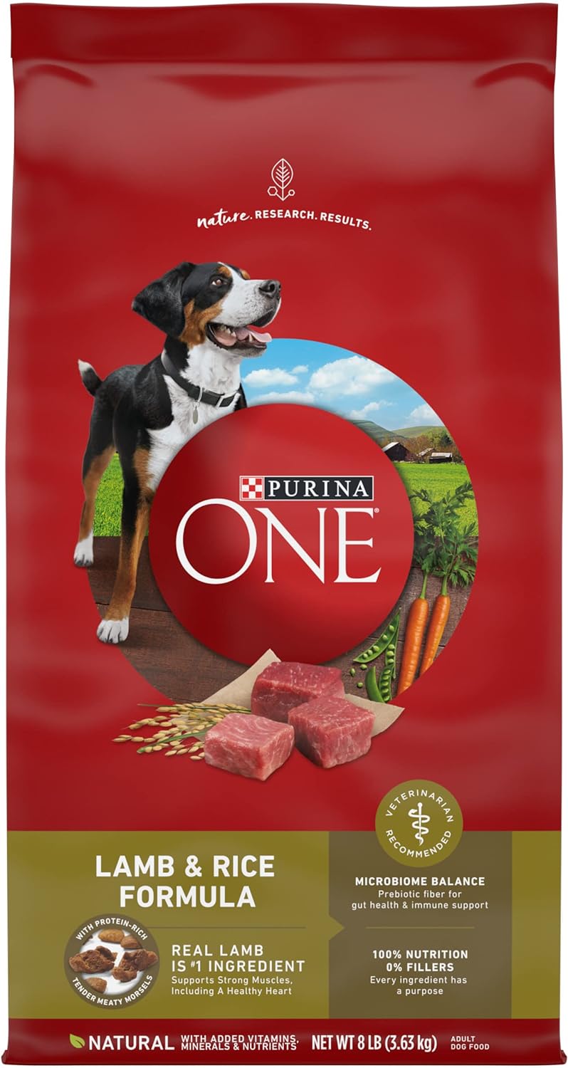 Wholesale prices with free shipping all over United States Purina ONE Dry Dog Food Lamb and Rice Formula - 31.1 lb. Bag - Steven Deals