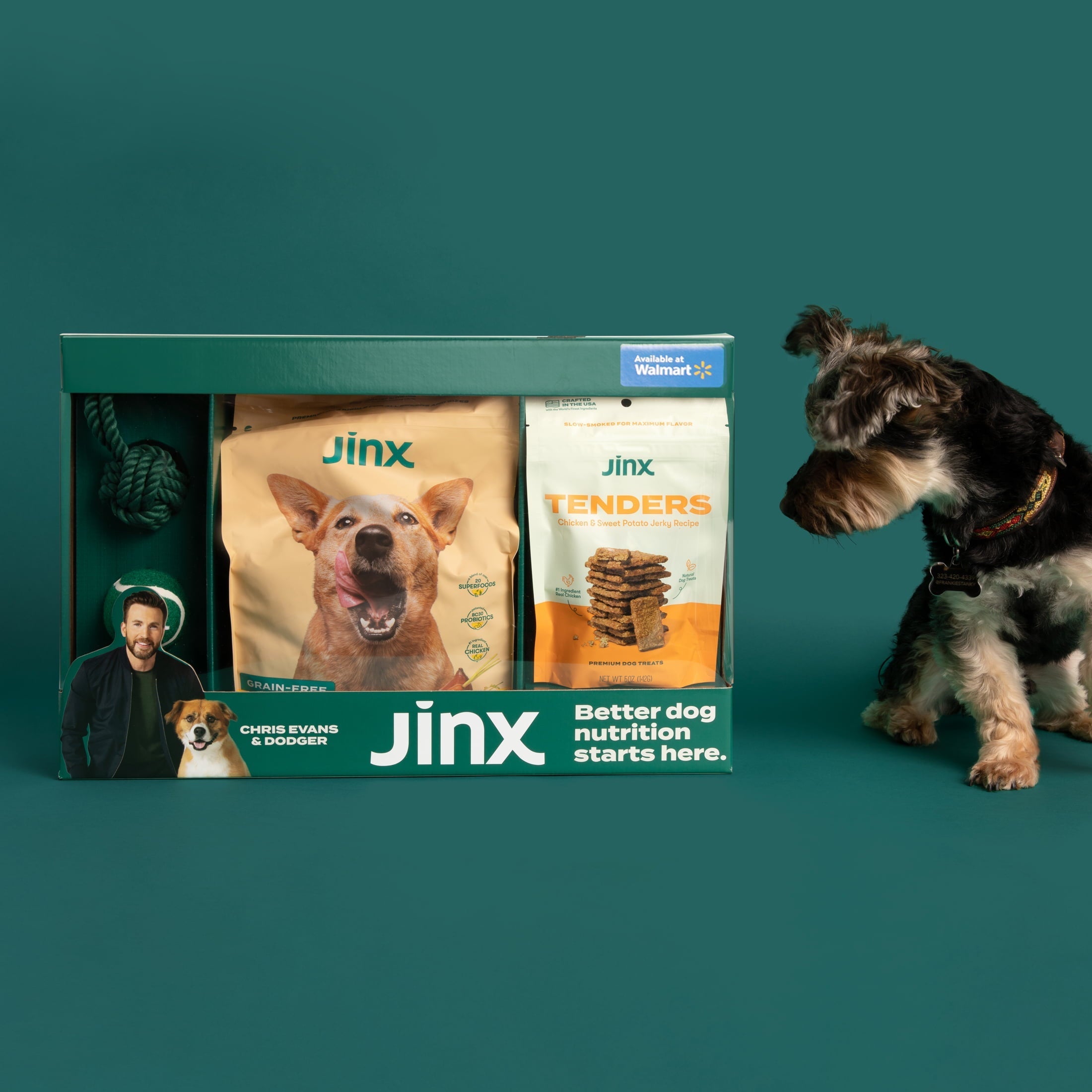 Wholesale prices with free shipping all over United States Jinx & Chris Evans Dog Dream Box - Steven Deals
