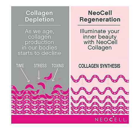 Wholesale prices with free shipping all over United States NeoCell Super Collagen + Vitamin C & Biotin (360ct.) - Steven Deals