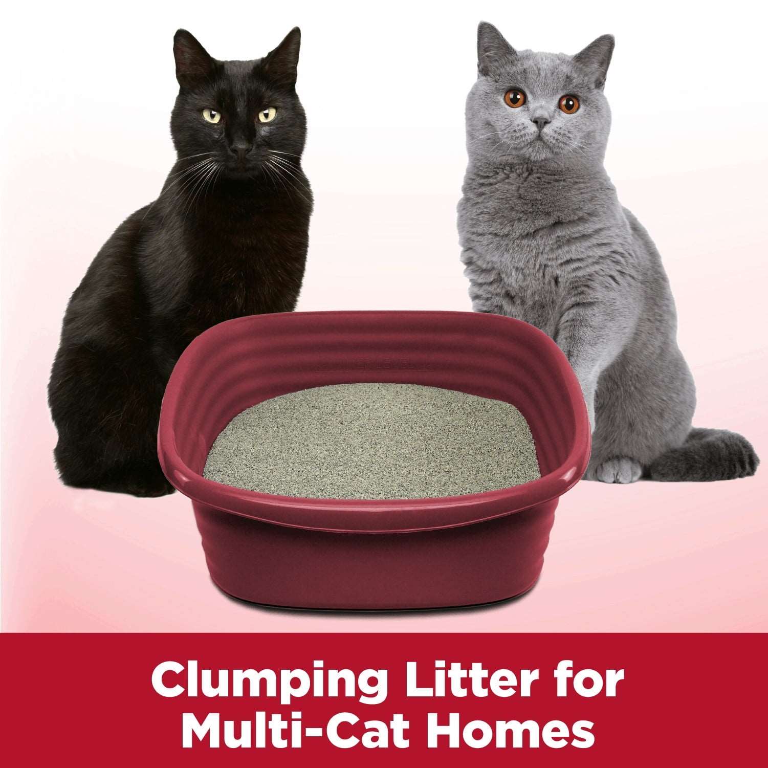 Wholesale prices with free shipping all over United States Arm & Hammer Clump Seal Multi-Cat Complete Odor Sealing Clumping Cat Litter, 38lb - Steven Deals