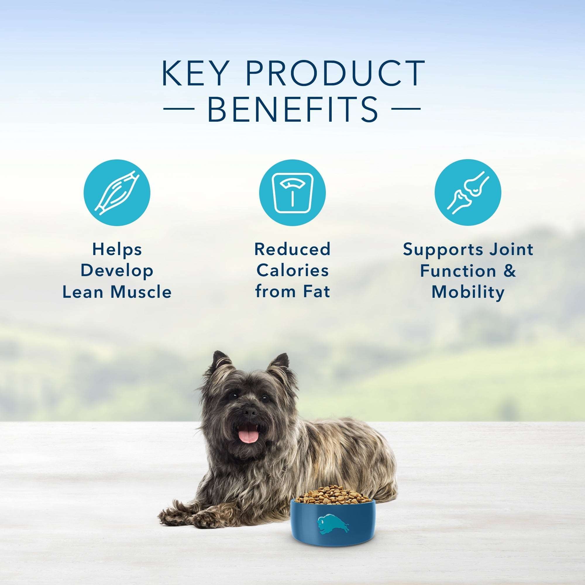 Wholesale prices with free shipping all over United States Blue Buffalo Life Protection Formula Small Breed Healthy Weight Chicken and Brown Rice Dry Dog Food for Adult Dogs, Whole Grain, 5 lb. Bag - Steven Deals