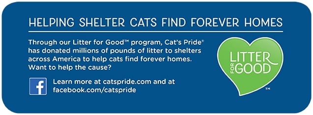 Wholesale prices with free shipping all over United States Cat's Pride Fresh & Clean Scented Non-Clumping Cat Litter, 20-Pound Bag - Steven Deals