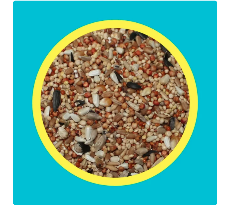 Wholesale prices with free shipping all over United States 3-D Pet Products Premium Dove & Quail Wild Bird Food, 6 lb. - Steven Deals
