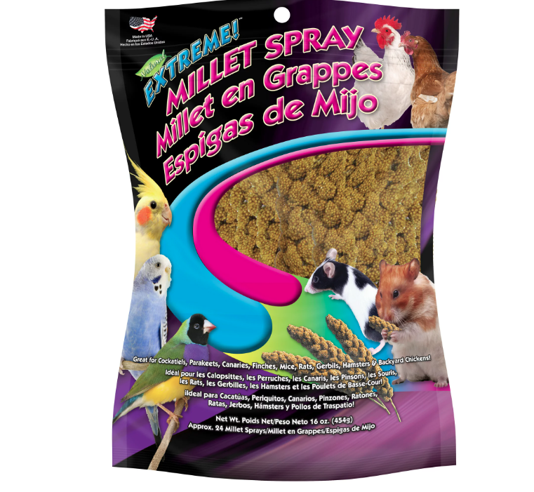 Wholesale prices with free shipping all over United States FM Brown Extreme Spray Millet Treat 16 oz. - Steven Deals