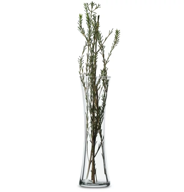 Wholesale prices with free shipping all over United States Libbey Clear Glass Sabrina Bud Vase, 1 Each - Steven Deals