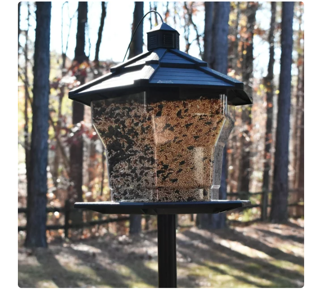 Wholesale prices with free shipping all over United States Pennington Earth Smart, Black Recycled Plastic Hopper Wild Bird Feeder, with Extra Large 6 lb. Capacity - Steven Deals