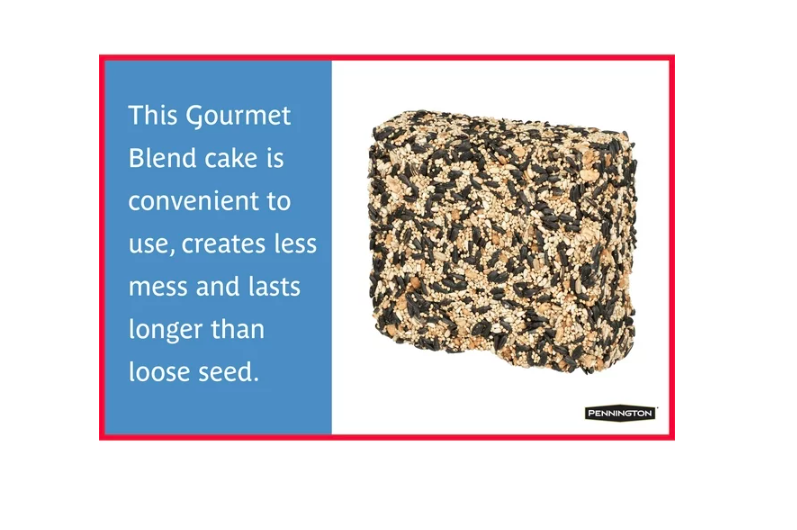 Wholesale prices with free shipping all over United States Pennington Premium Gourmet Wild Bird Seed Cake, 2 lb. - Steven Deals