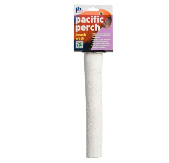 Wholesale prices with free shipping all over United States Prevue Pet Products Pacific Beach Walk X-Large Sea Shell Coated Mineral Perch - Steven Deals