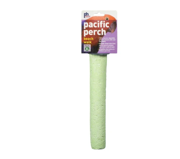 Wholesale prices with free shipping all over United States Prevue Pet Products Pacific Beach Walk X-Large Sea Shell Coated Mineral Perch - Steven Deals
