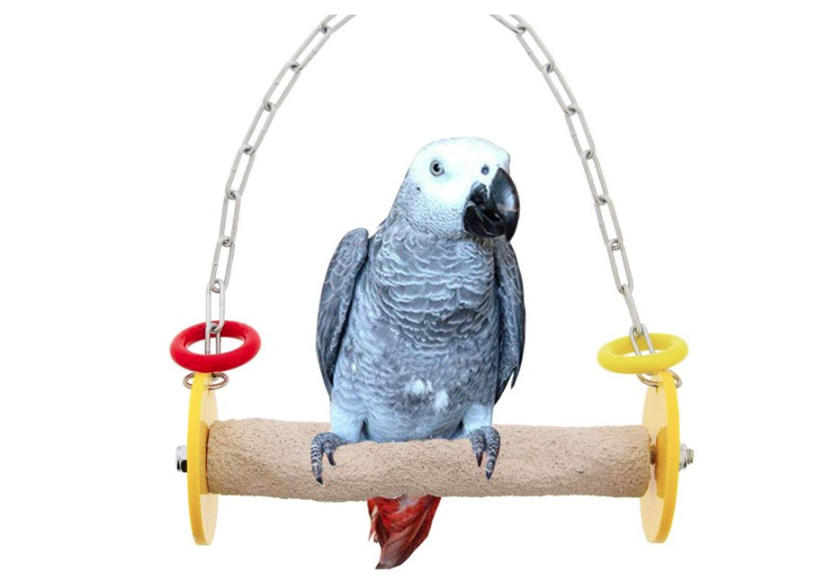 Wholesale prices with free shipping all over United States Shulemin Pet Bird Parrot Macaw Hanging Chain Swing Stand Perch Cage Pendant Chewing Toy,Random Color - Steven Deals