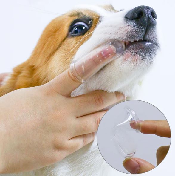 Wholesale prices with free shipping all over United States Super Soft Pet Finger Toothbrush Teddy Dog Brush Bad Breath Tartar Teeth Care Tool Dog Cat Cleaning Silicagel Pet Supplies - Steven Deals