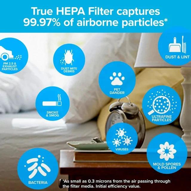 Wholesale prices with free shipping all over United States Filtrete by 3M Advanced Allergen, Bacteria Virus True HEPA Air Purifier Filter, F1 - Steven Deals