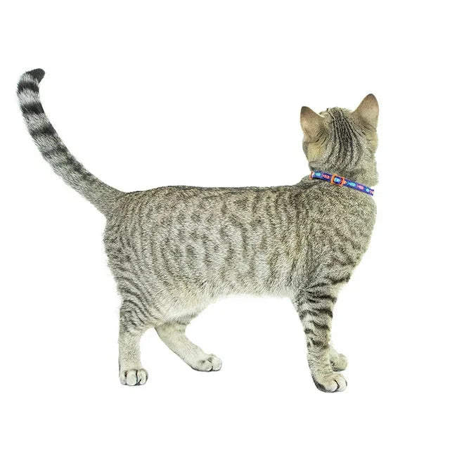 Wholesale prices with free shipping all over United States Vibrant Life 2-Pack Kitten Collar Navy Multi Fish and Solid Blue, One Size - Steven Deals