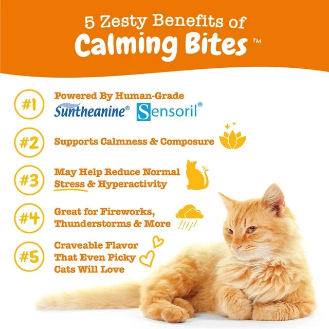 Wholesale prices with free shipping all over United States Zesty Paws Calming Bites, Stress & Anxiety Relief Supplement for Cats, 30 Count - Steven Deals